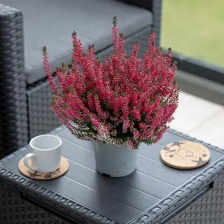 Apartament Apartament MARINA VIEW BASEN&SPA Dziwnów za mostem EPapartamenty Dziwnów