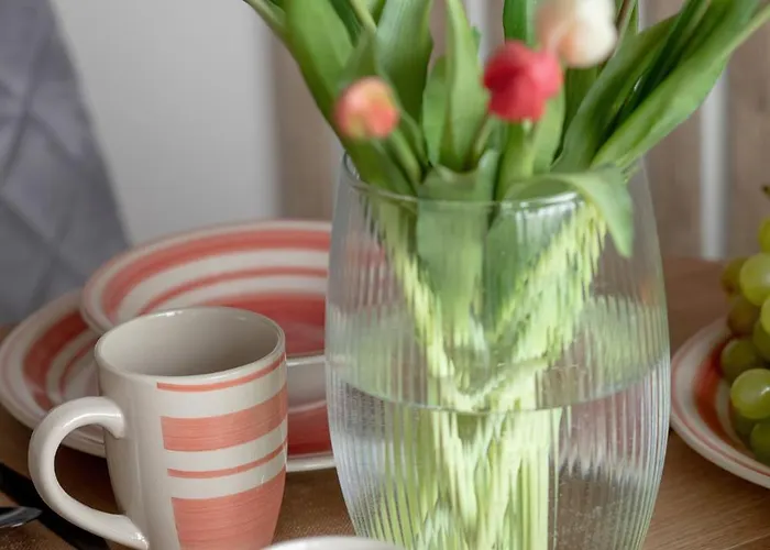 Marina View Basen & Za Mostem Epapartamenty *